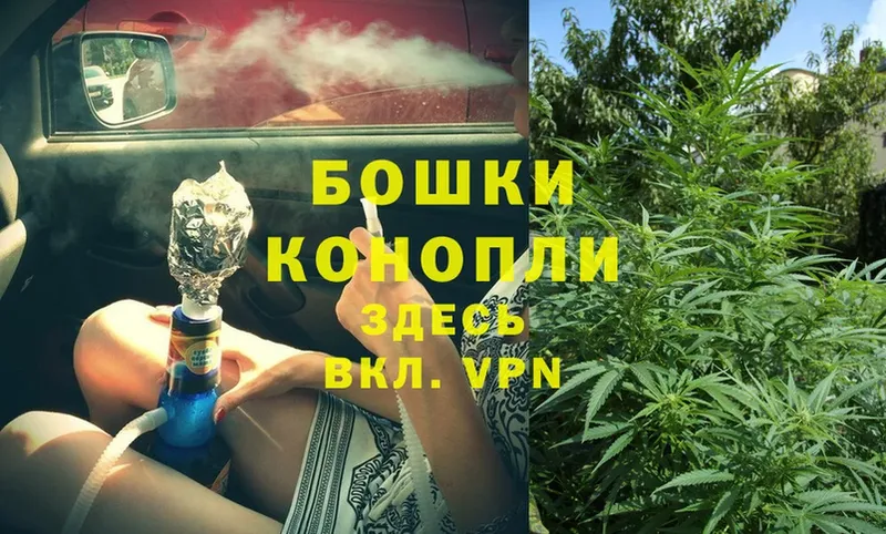 Конопля SATIVA & INDICA  продажа наркотиков  Добрянка 